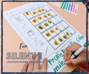 Silent e Blends Clusters Worksheet Teach Magically