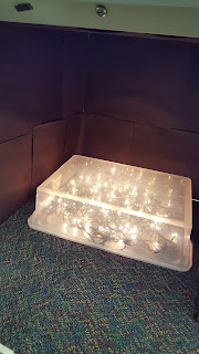 light up box teach magically