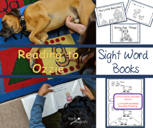 Best way to teach sight words with Ozzie Teach Magically